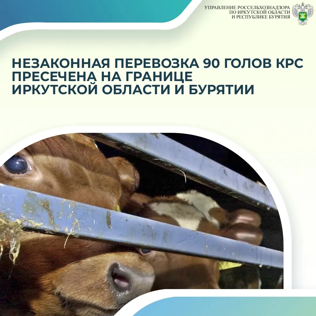 27 февраля инспекторами Управления Россельхознадзора по Иркутской области и Республике ...