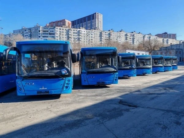 Во Владивостоке внедрили оплату в транспорте через мессенджер «Макс»
