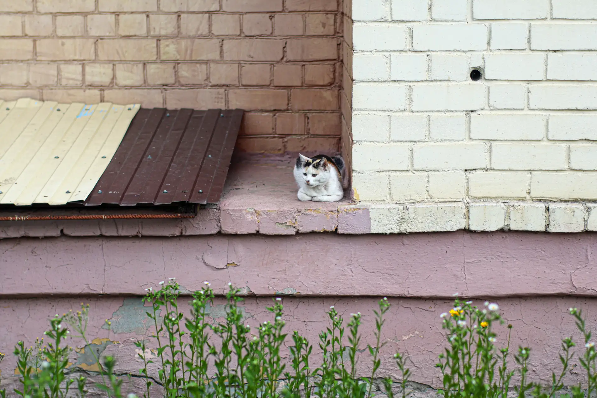 На наблюдательном посту 😾

Подписывайтесь на нас в MAX