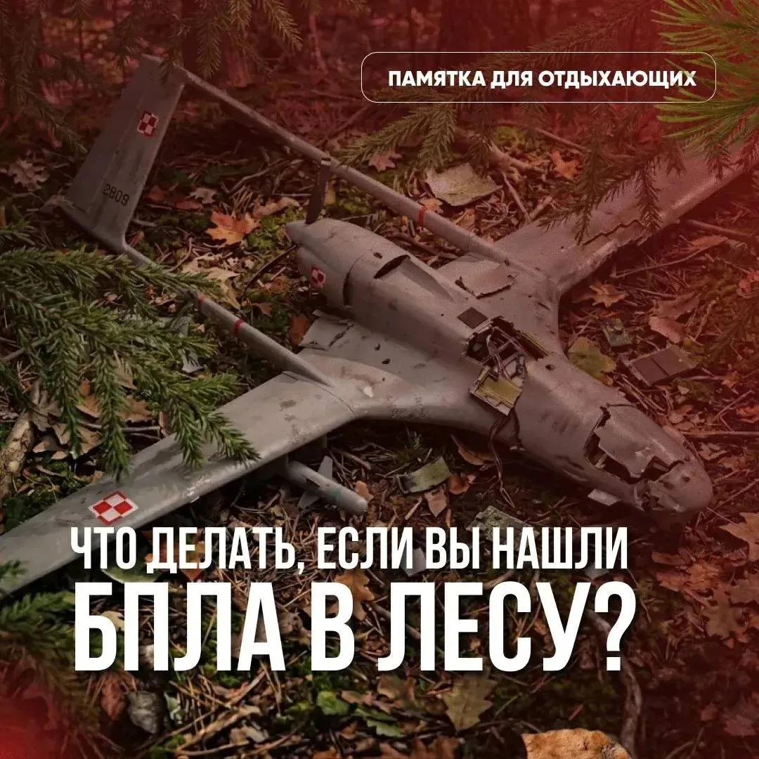 Что делать, если вы нашли БПЛА в лесу
