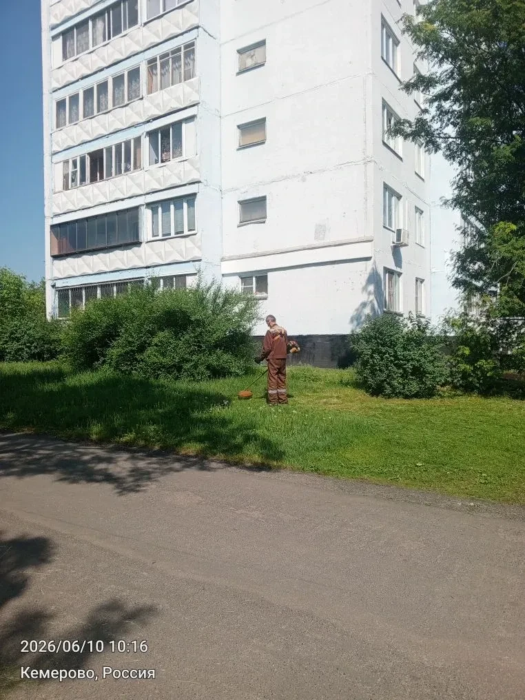 Покос территории дома пр.Октябрьский,62.