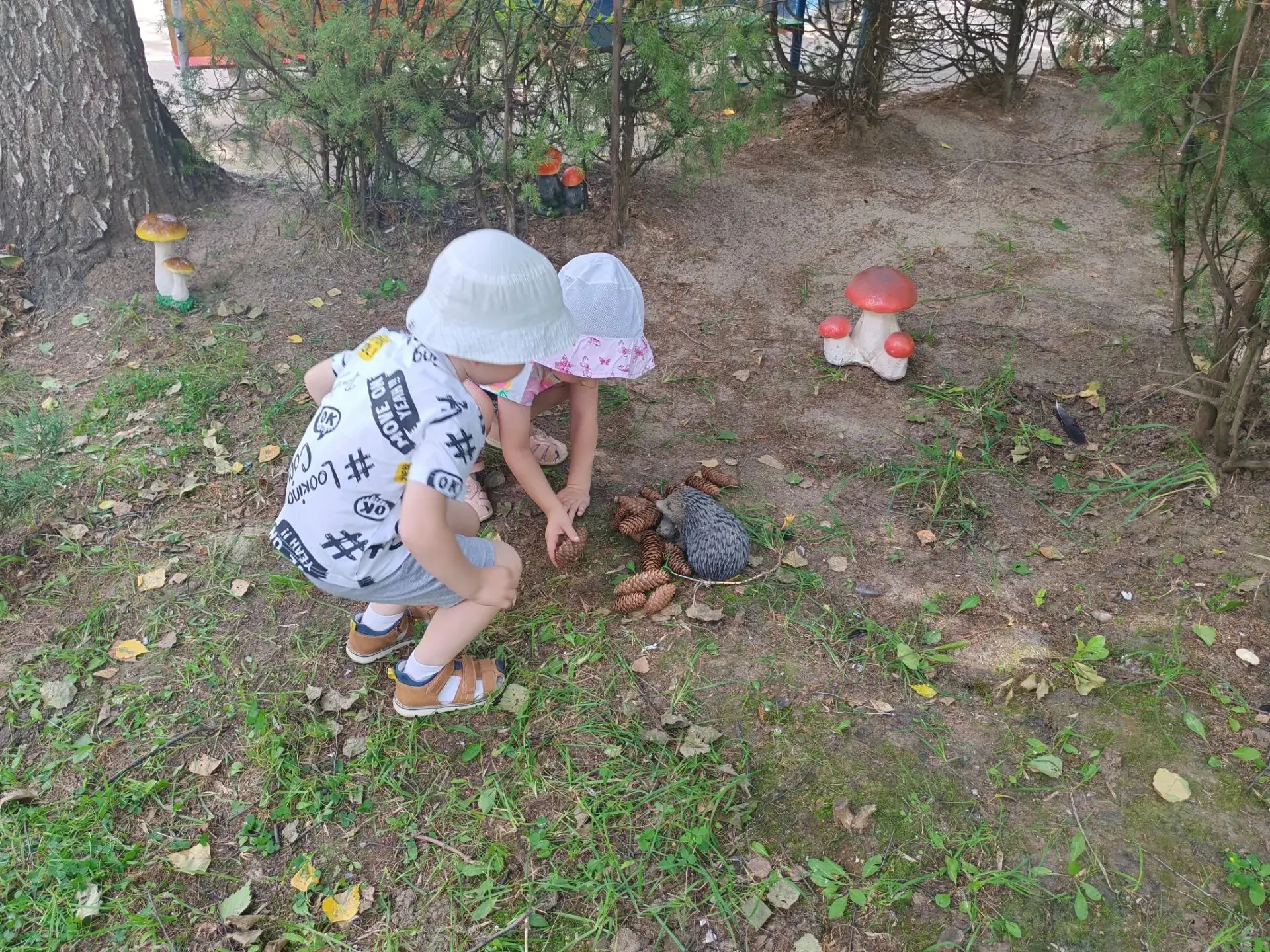 Летние тайны или маленькие шаги к большой природе.