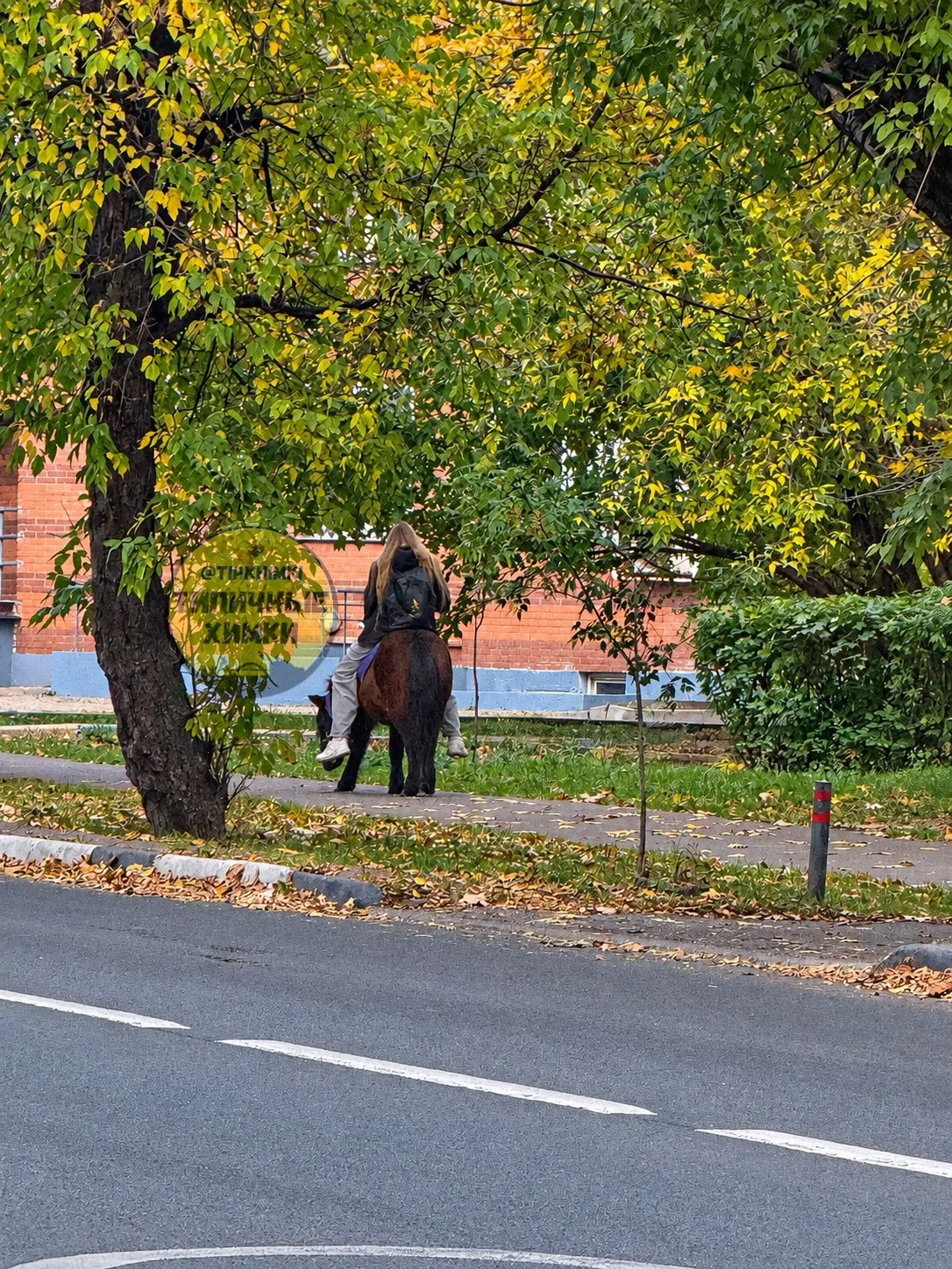 Улица Кудрявцева. И никаких электросамокатов не надо. Вот он, лучший эко-транспорт! 😁