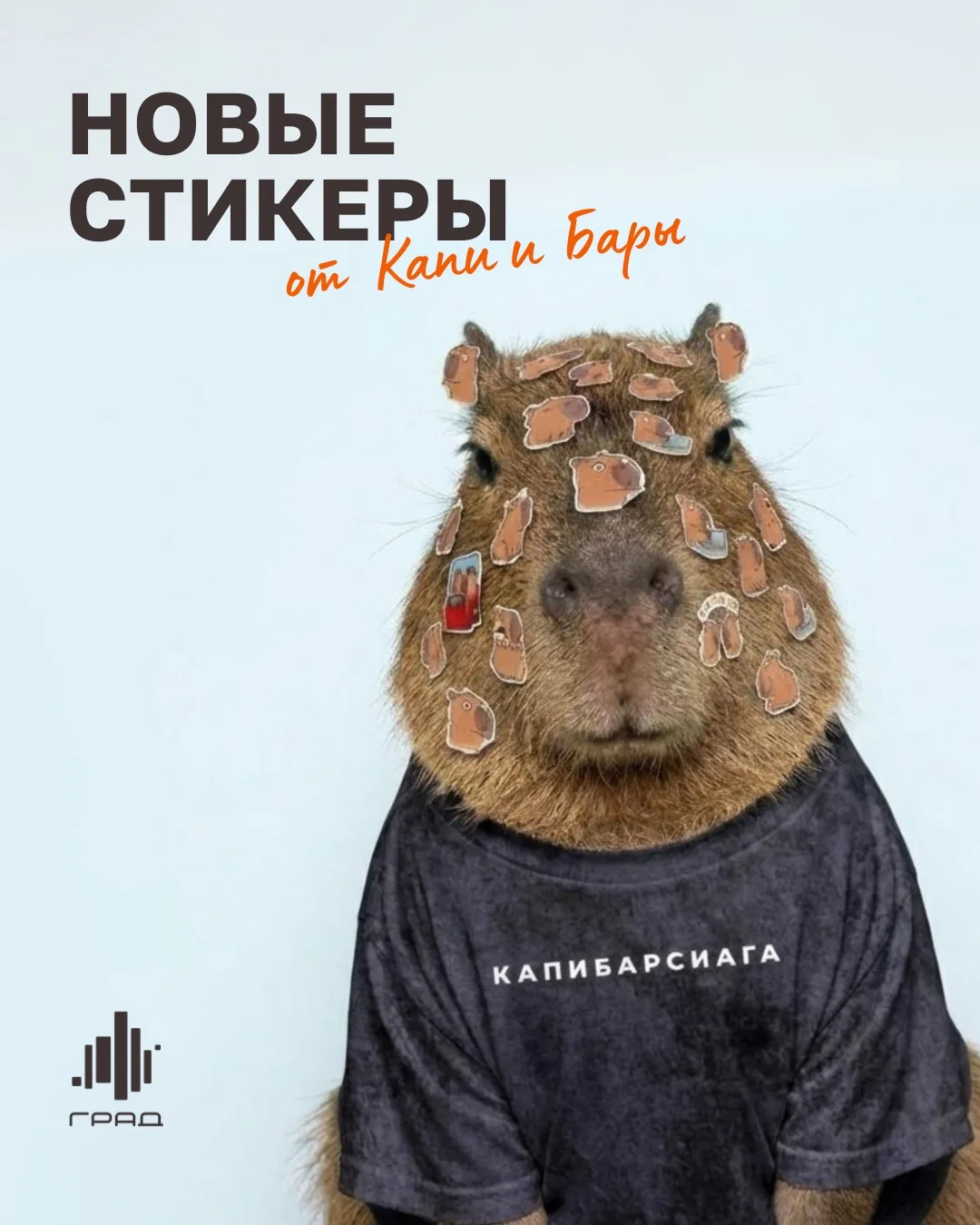 Капибары захватывают чаты! Друзья, встречайте новый набор фирменных стикеров Града с Капи и Барой в 
