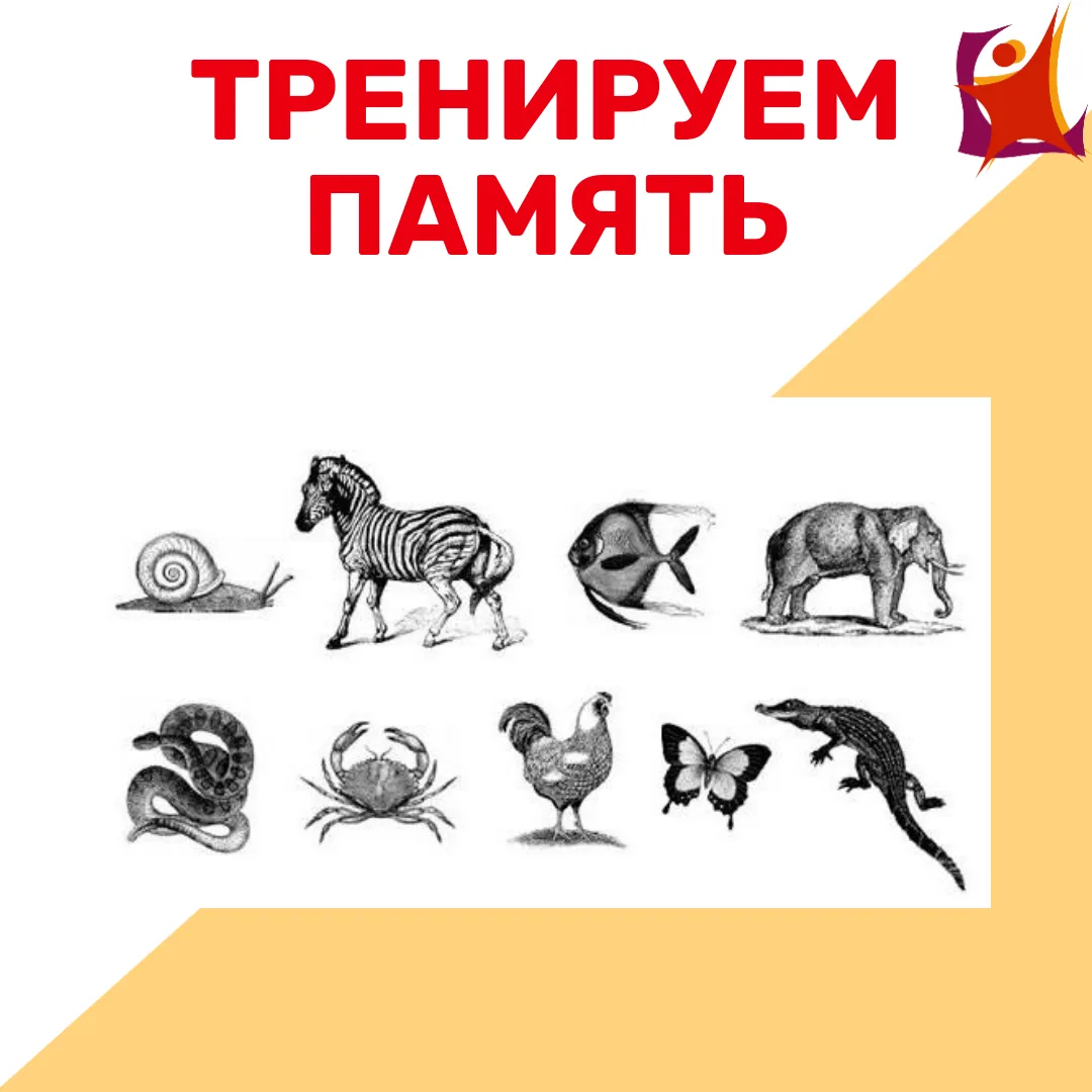 🧠Регулярная тренировка памяти способствует улучшению функций мозга. Для этого рекоменд...