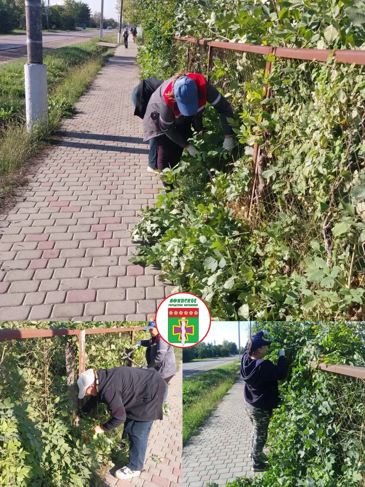 На территории Афипского городского поселения ведутся работы по обрезке поросли вдоль тр...