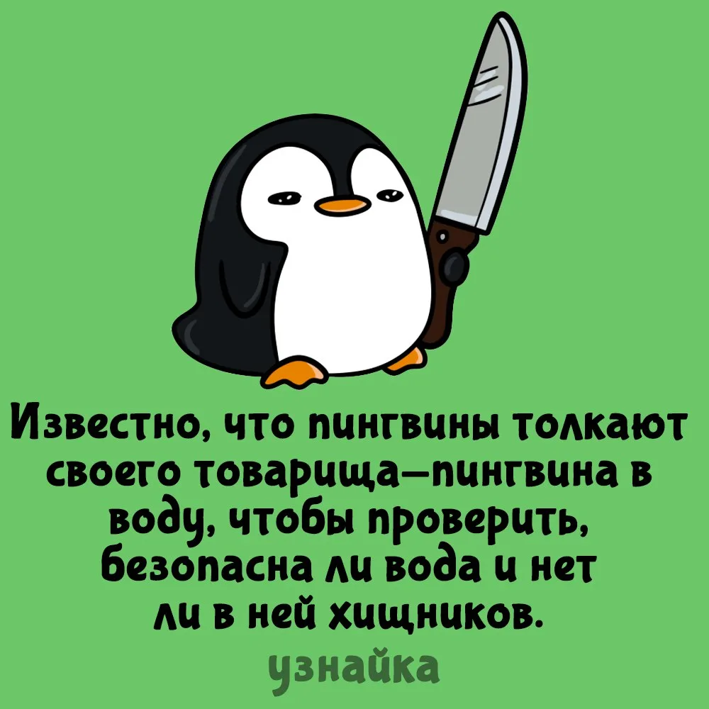 Подставщики😕