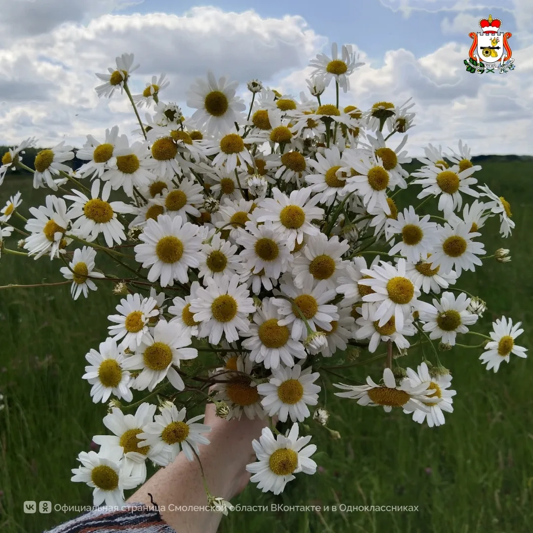 Доброе утро, Смоленщина!