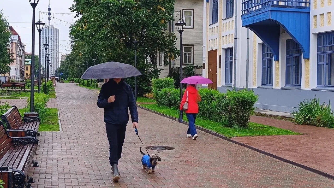 В Архангельске ожидается прохладная и дождливая погода. Синоптики прогнозируют пасмурно...