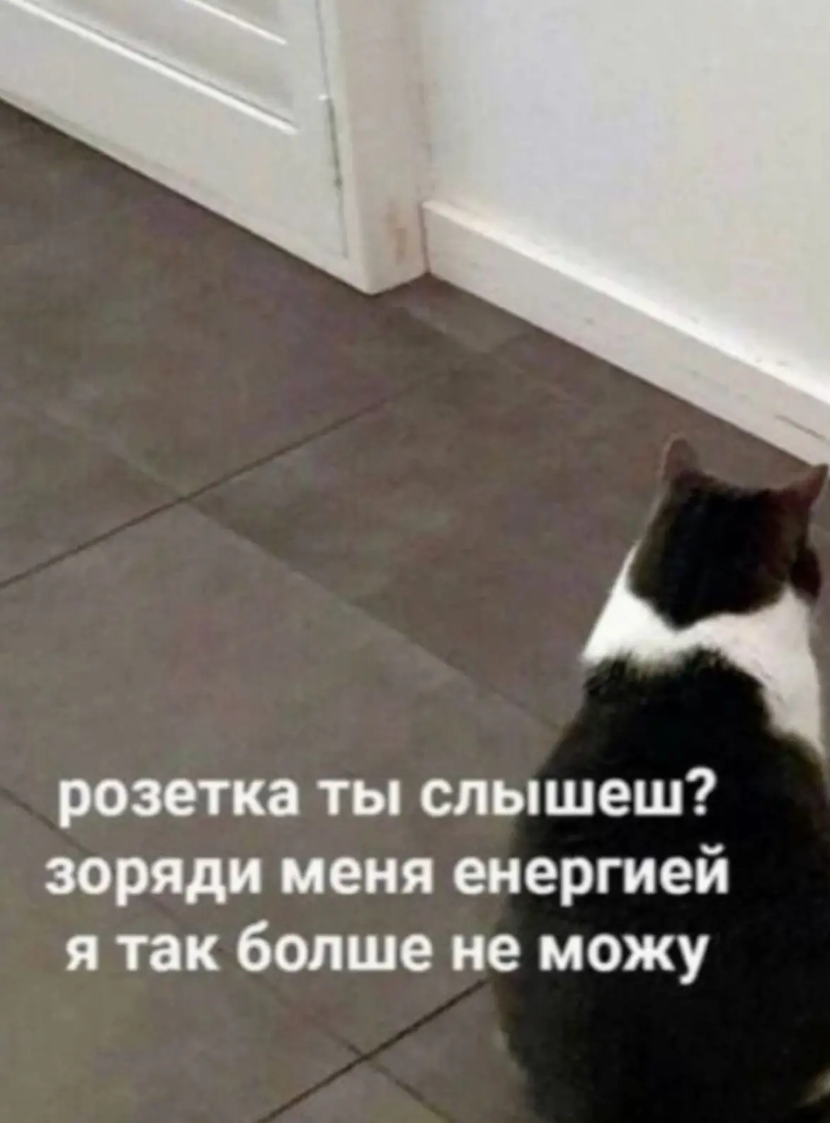 Мы не судим, но мы обсудим. В эфире рубрика мне только спросить «Мёд, говно и гвозди». ...