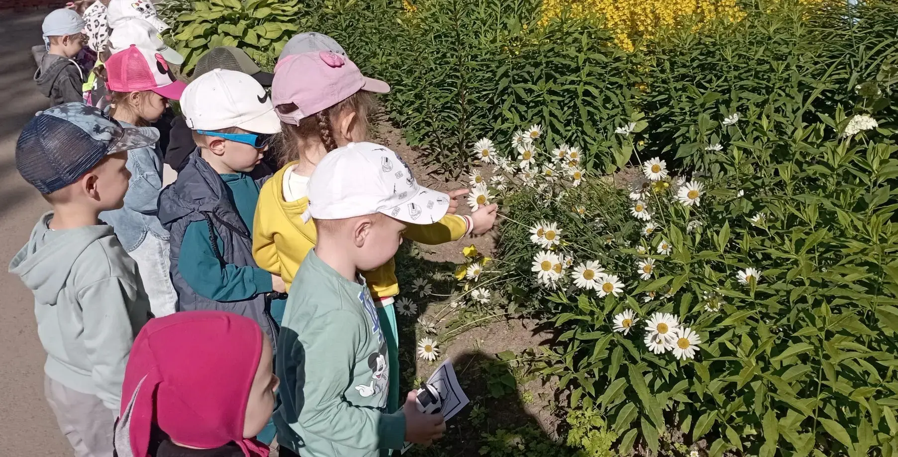 Направленность "Экологическое развитие" ☘
👶В группе "Крепыши" прошёл день "В мире растений"
Дети уз