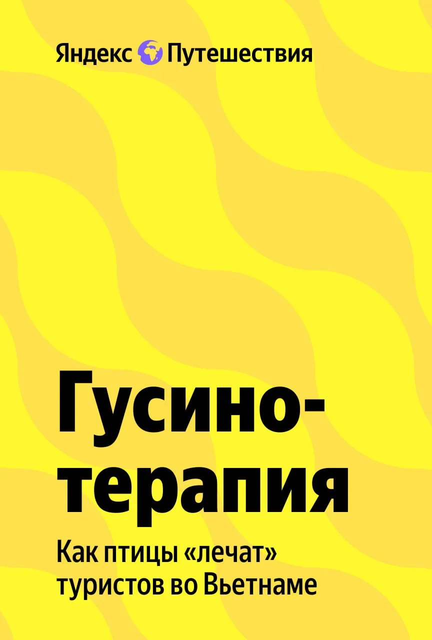 Вам массаж камнями или гусями? 🐦