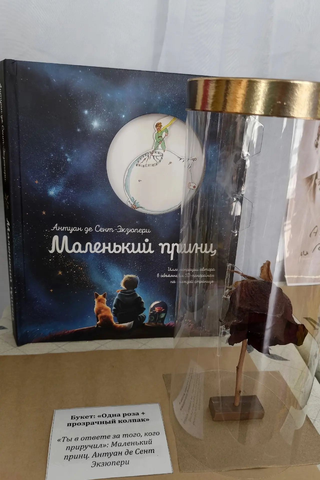28.08.26    Маленький принц и посёлок на краю звёзд. Сказка