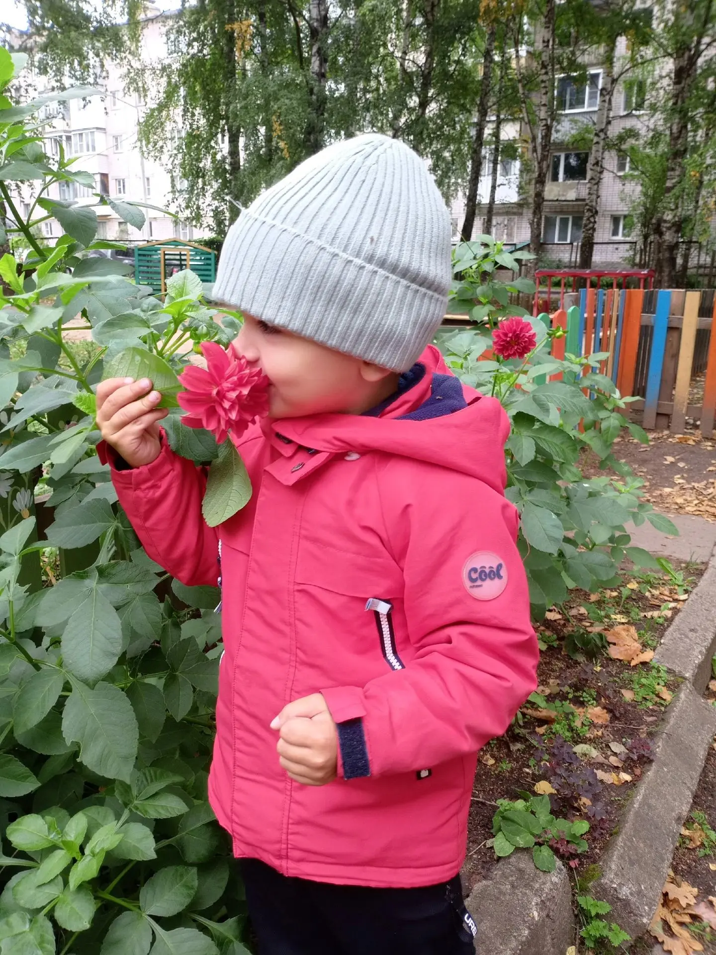 Садовые неженки и полевые храбрецы: о чем нам расскажут летние цветы? 🌺💐🌻