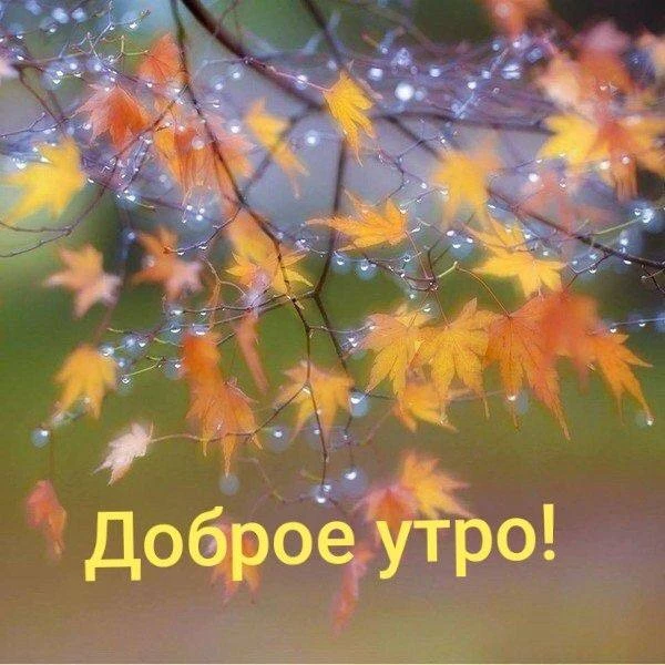 С добрым утром жители и гости Липовского МО!