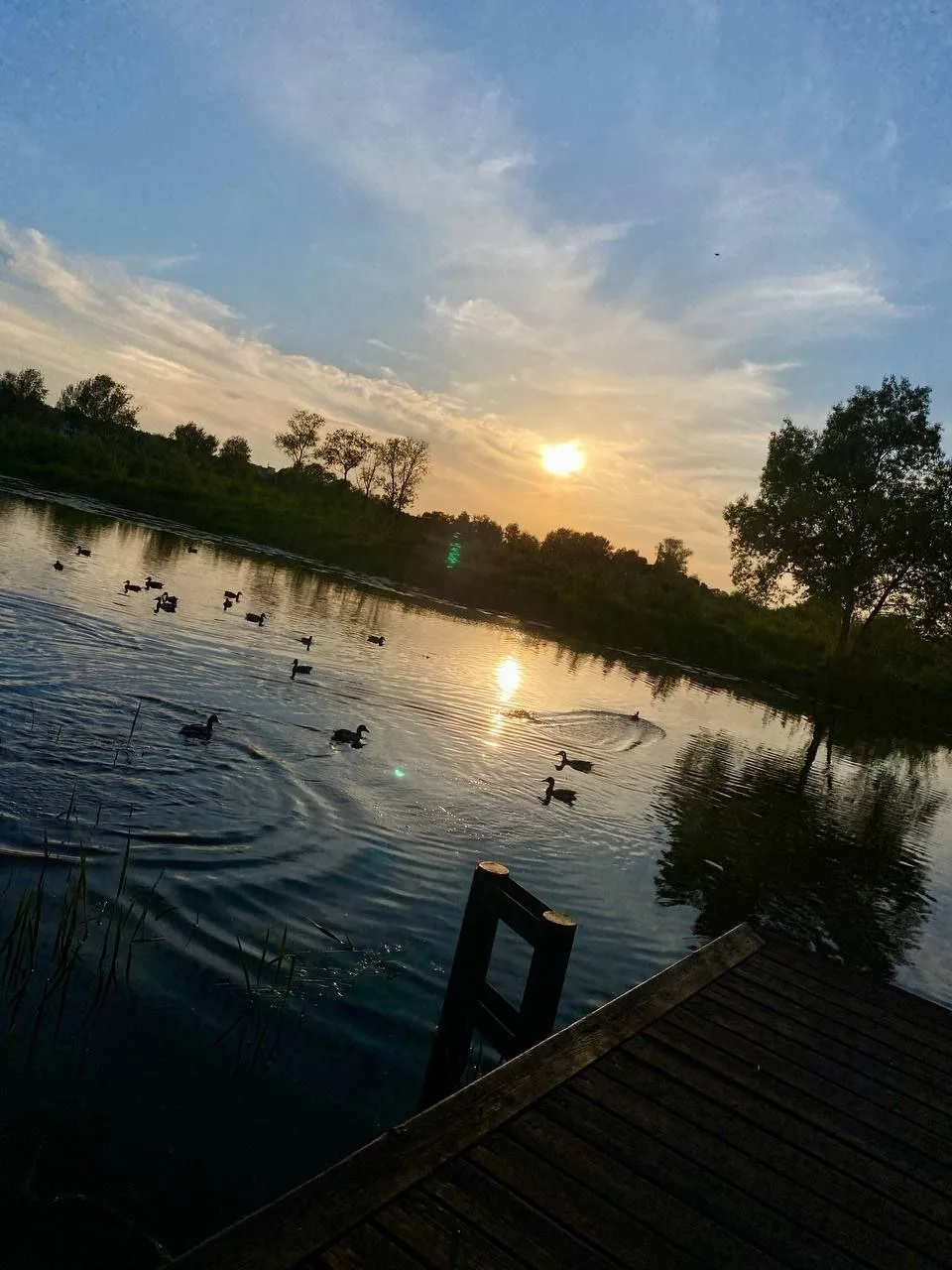 Хорошего всем вечера, друзья! ❤️