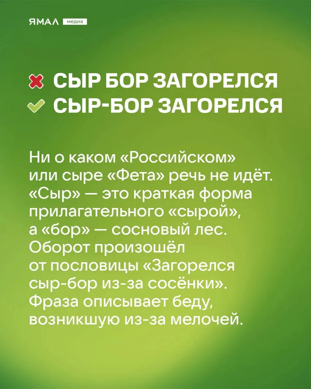 🫣 «Скрипя сердцем, он довёл себя до белого коления…»  Мы знаем, что вы говорите хотя бы одну из этих
