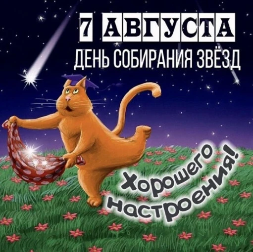 ✨ 7 августа — День собирания звёзд! ✨