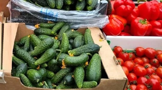 Фермерские ярмарки в Краснодаре заработают 3 октября по четырем адресам