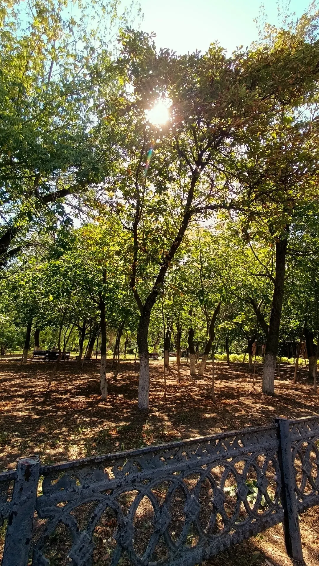 Заключительные дни лета....