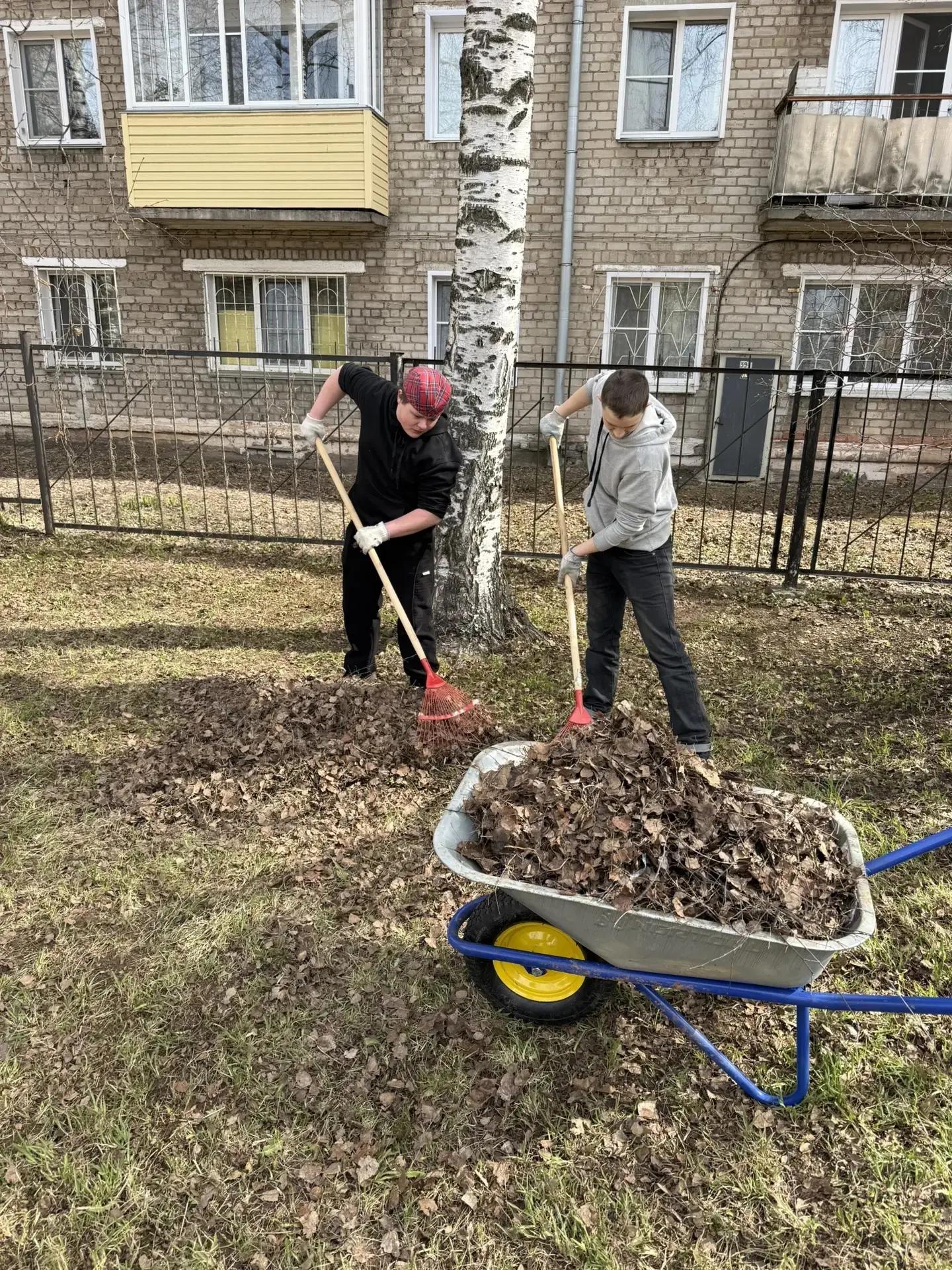 🌱 Весенний субботник: вместе за чистоту!