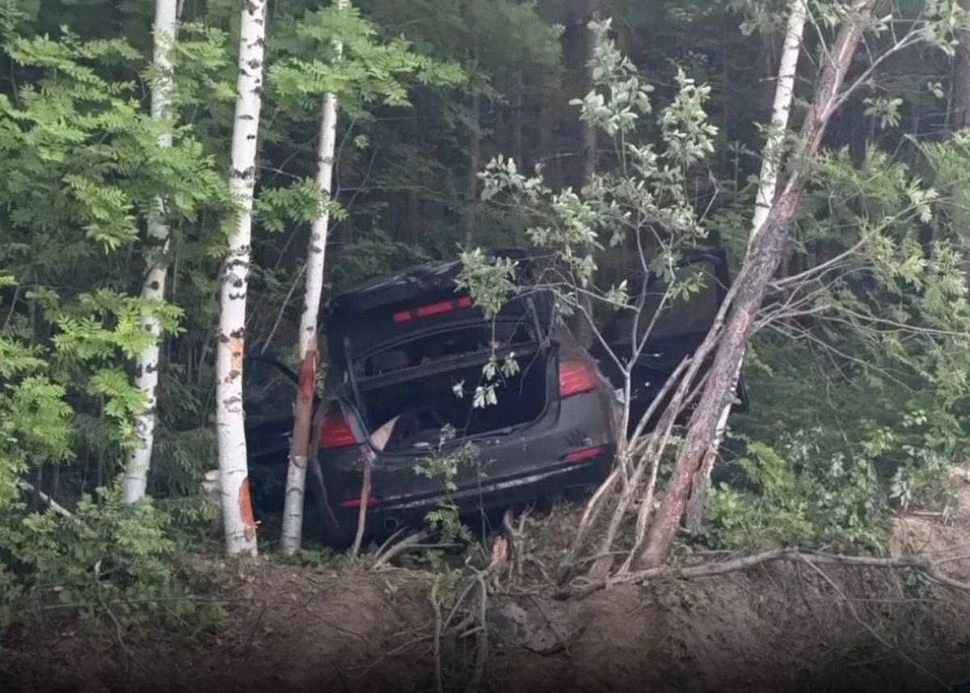 На трассе в Ханты-Мансийском автономном округе автомобиль насмерть сбил лося — жертвой ...