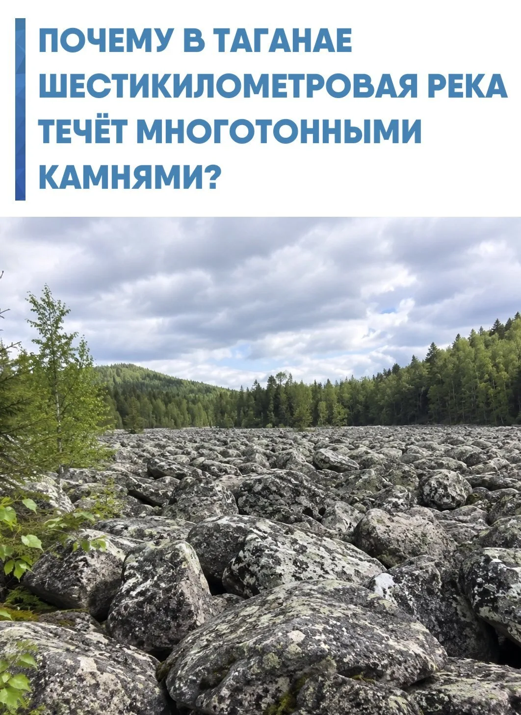 В глубине леса простирается Большая Каменная река — огромный валунный поток, протянувши...