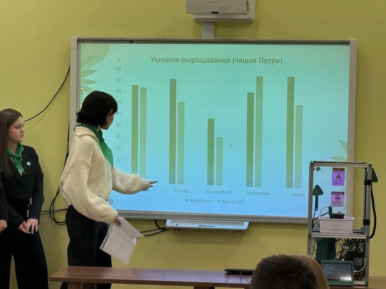 24 декабря учащиеся Гимназии имени А.С. Пушкина представили первые результаты работы в рамках образо