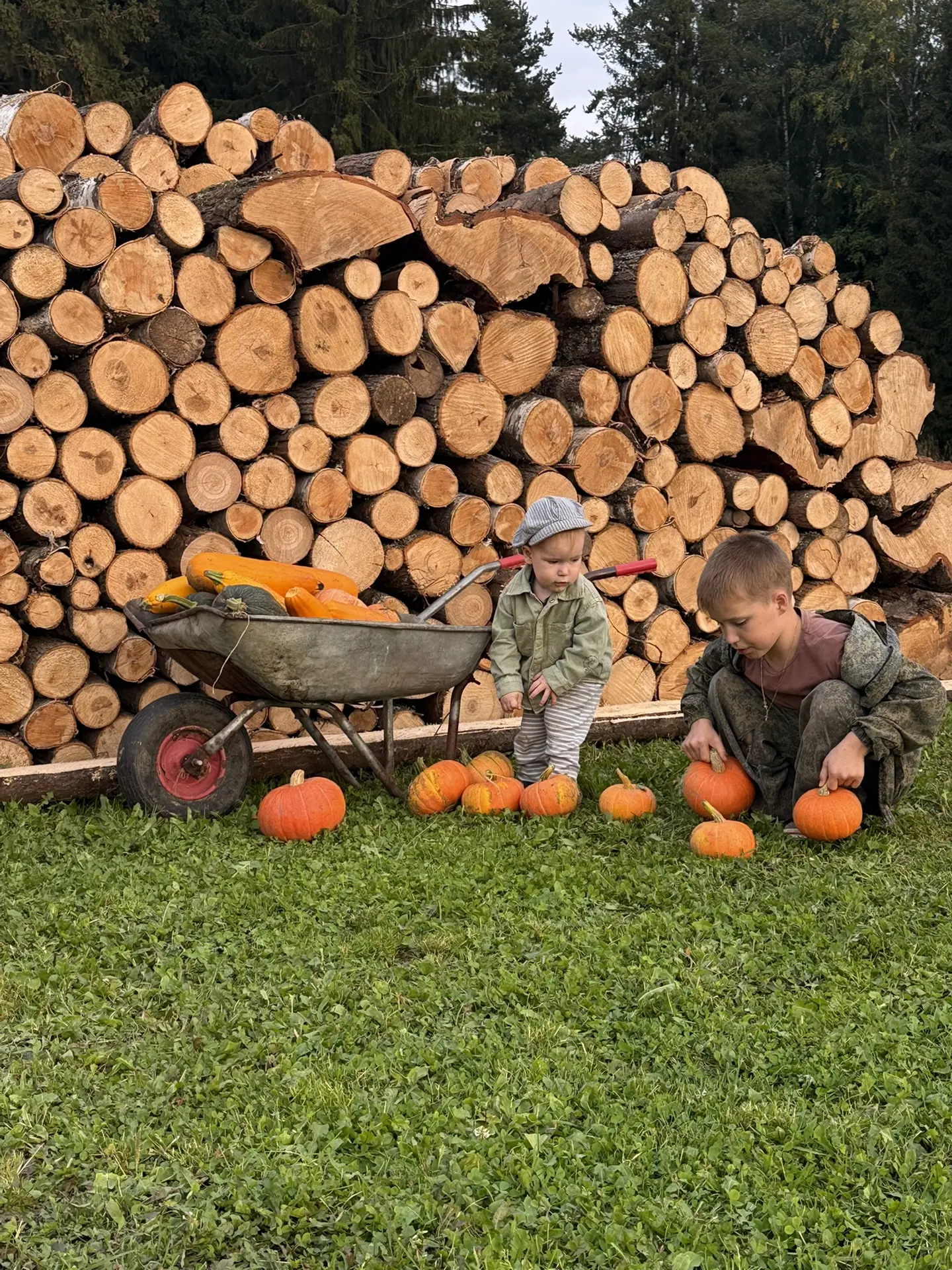 Сентябрьские фотокарточки 🍁💛