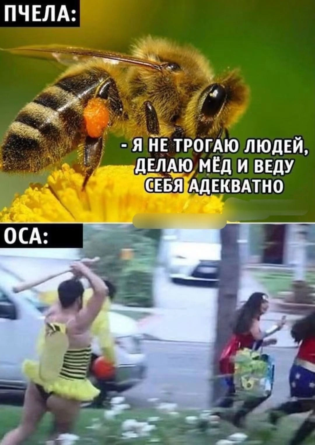 Наш телеграм: https://t.me/votetoprikol90