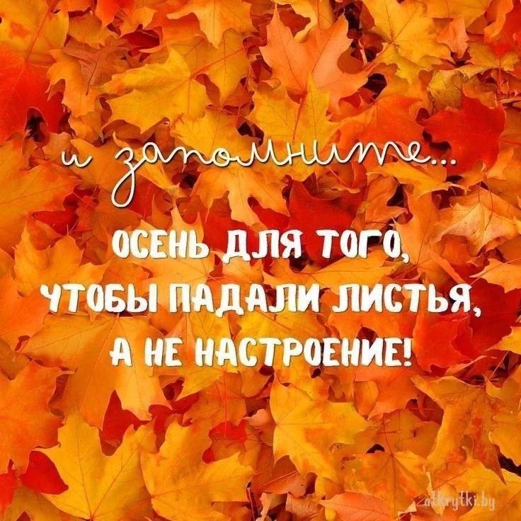 Открытки из WA — Подписывайся