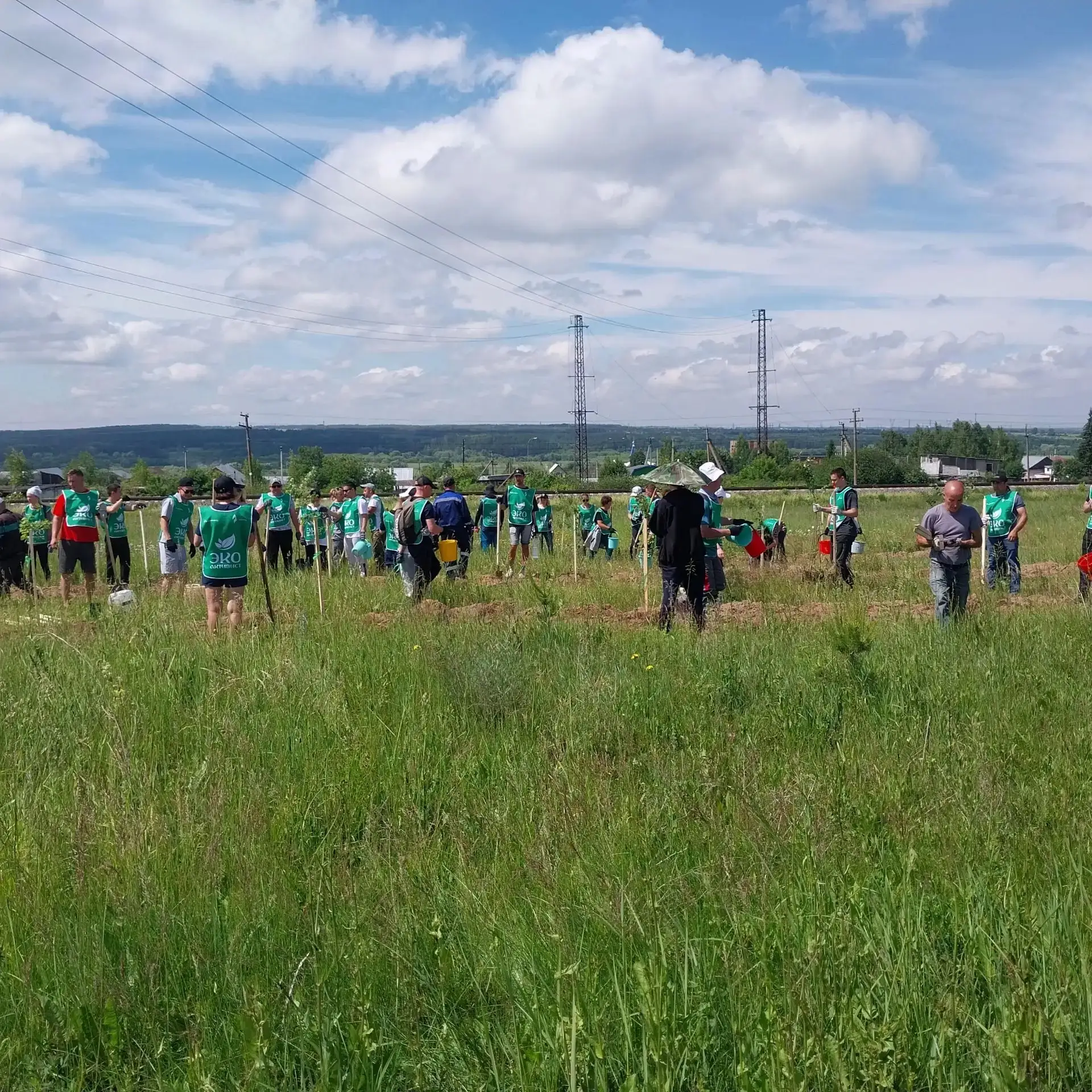 🌳 В селе Тихоново высадили 500 триплоидных осин при поддержке профсоюза «Татнефть»

На территории с
