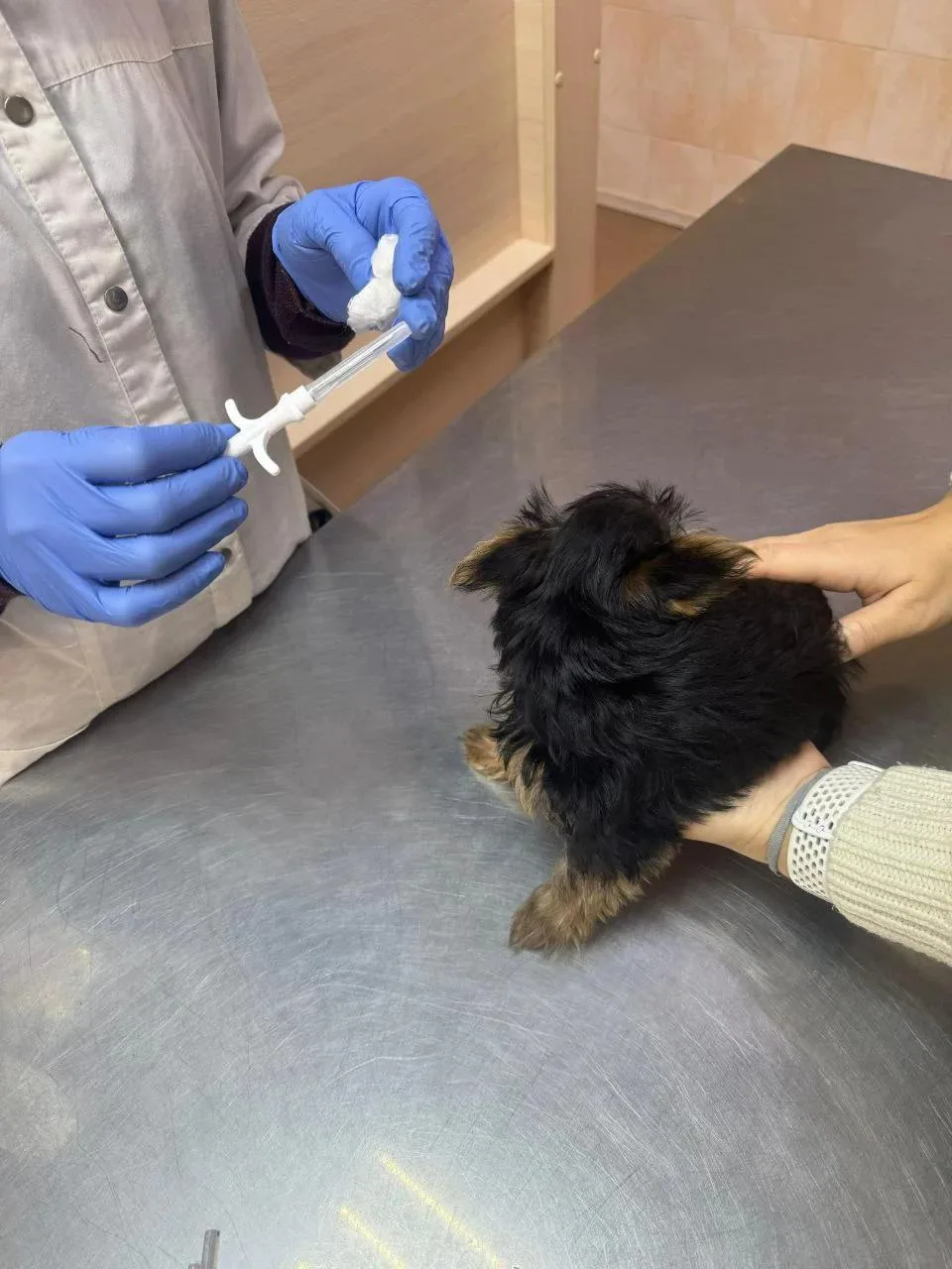 🐾 Ветеринары продолжают регистрировать собак и кошек на дому

💉 В Поронайском районе ближайшие вые