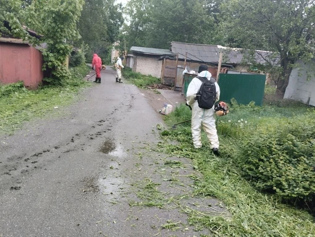 Погодные условия в Ленинградской области в этом сезоне испытывают нас всех на прочность...