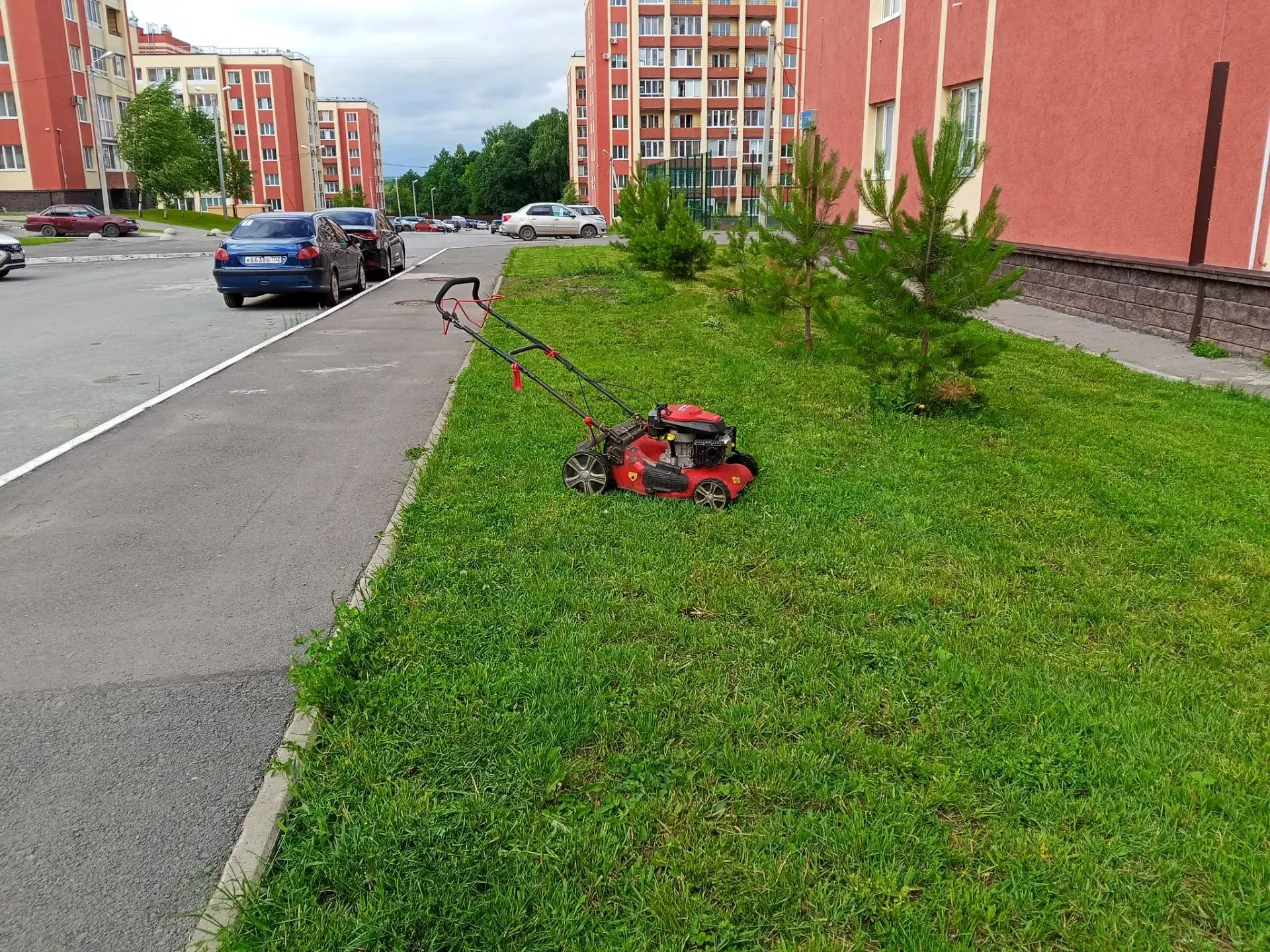 В жилом комплексе "Михайловка Place" отдохнувшие сотрудники управляющей компании приступили к наведе