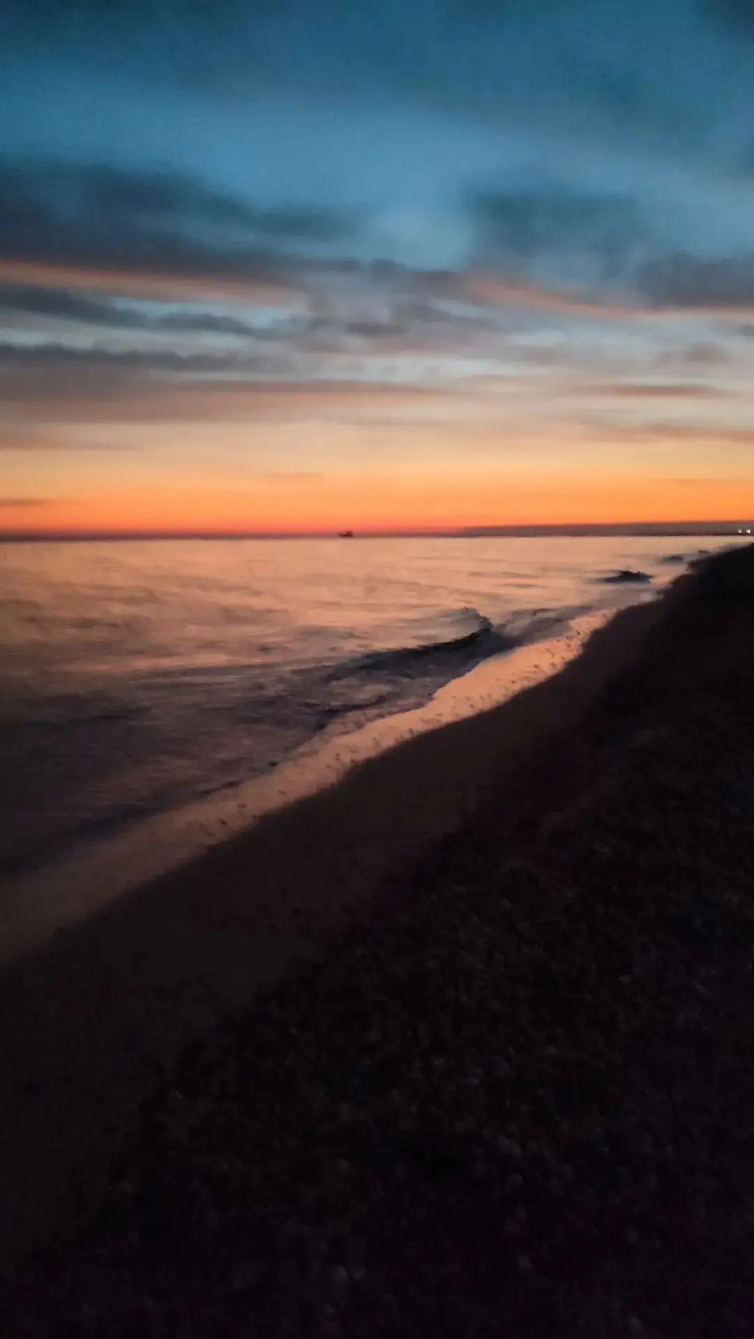 Доброе утро 🐬