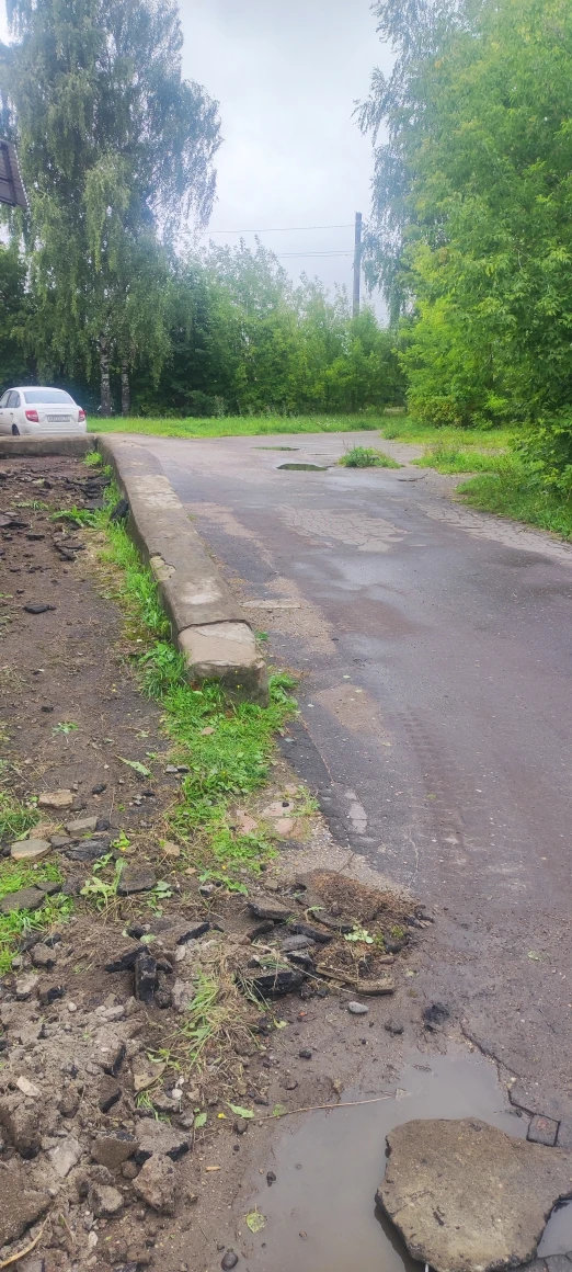Благоустройство территории школы