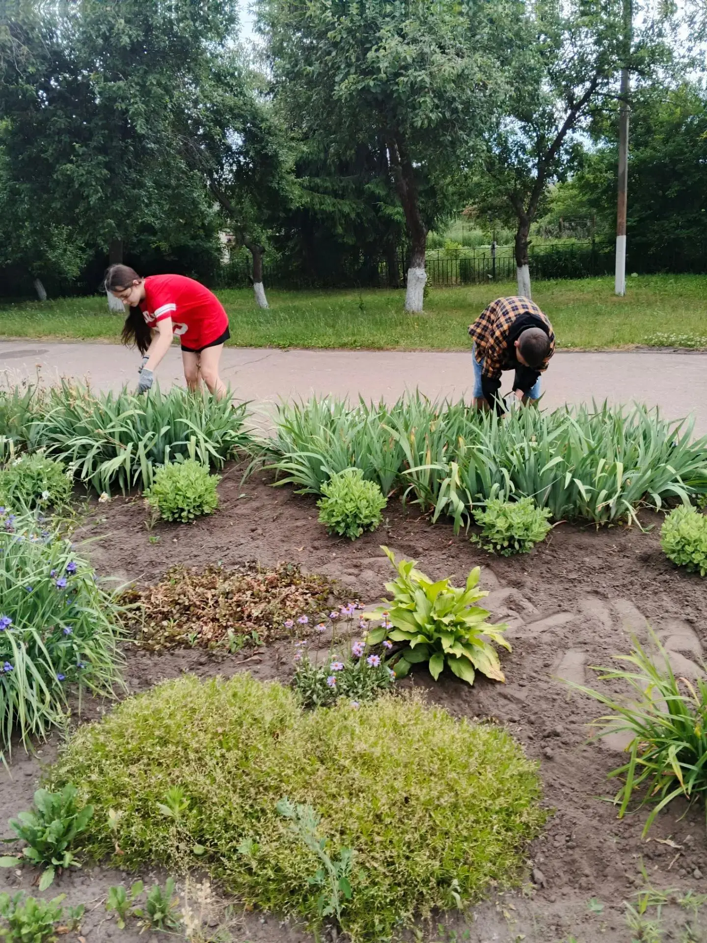 Летняя практика в самом разгаре!

В нашей школе полным ходом идёт летняя практика! Наши ученики с бо