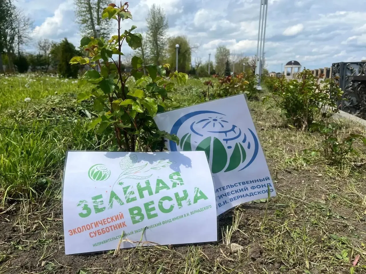 🌸 Студенты Кореновского политехнического техникума подарили парку второе дыхание в рамках «Зеленой В