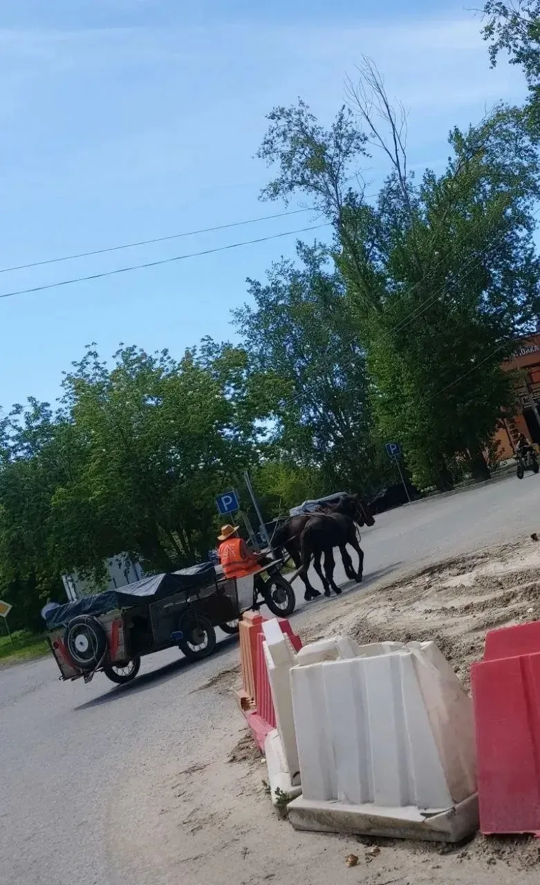 Ребят, пора! Пора менять железных коней на живых😄