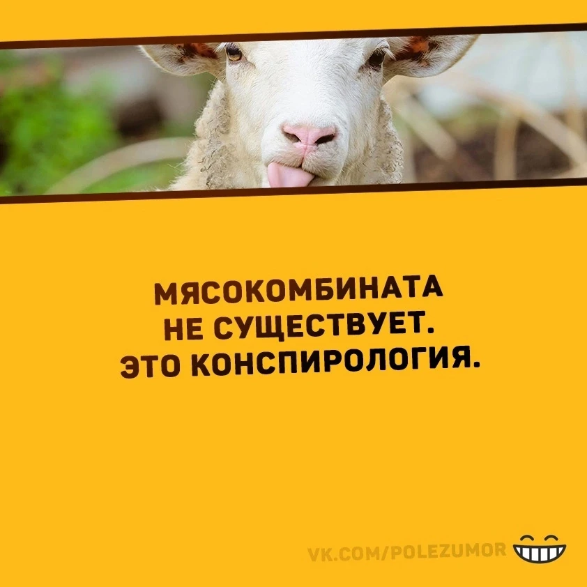 Смотрите наш фильм "Теория ОБМАНА👁" 👉  https://rutube.ru/video/c42002ae92f75e2c4cee49...