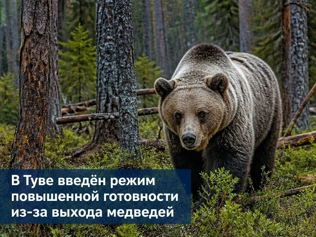 В тувинской столице городе Кызыл полицейские застрелили медведя, который вышел в городс...