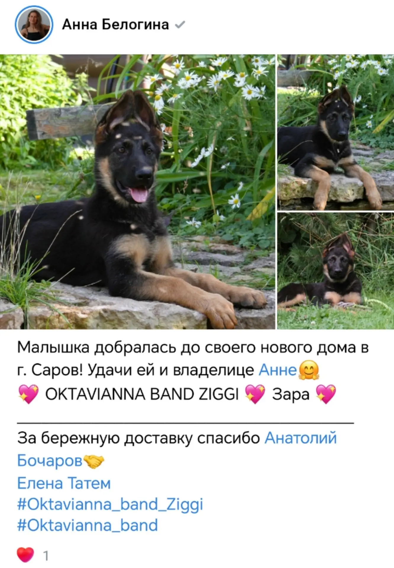 +79102741957 Макс