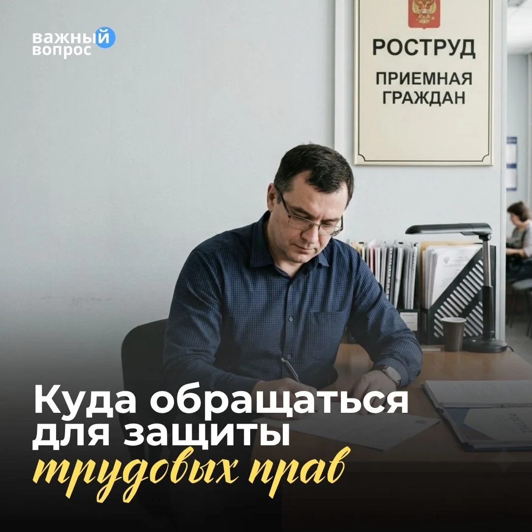 Как защитить свои трудовые права и куда обращаться за помощью

Трудовые права — это гарантии, благод