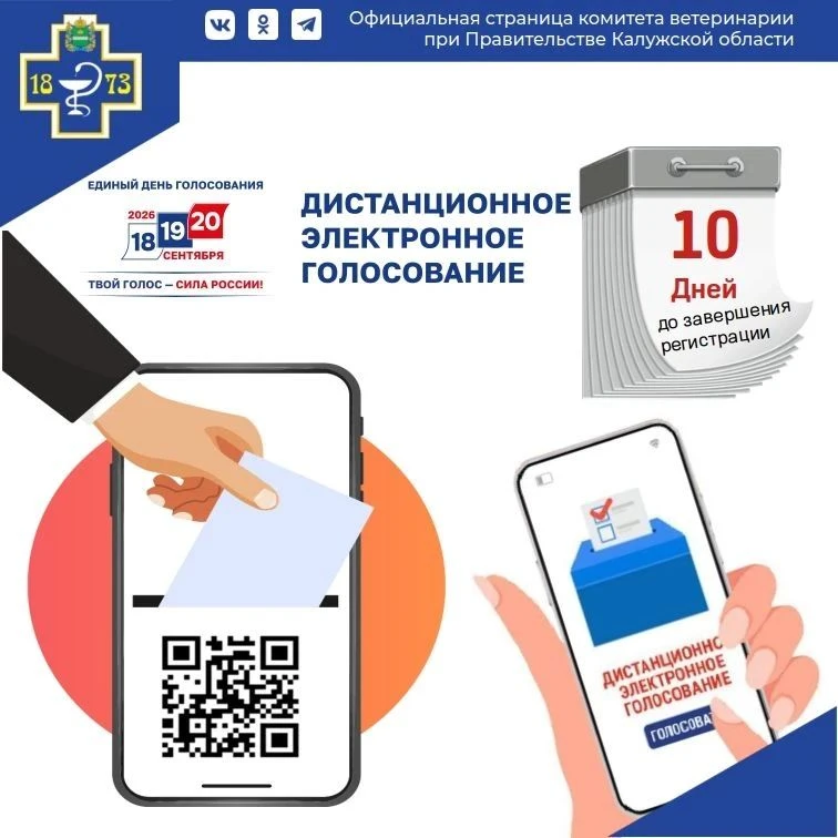 В этом году выборы депутатов Государственной Думы IX созыва  пройдут 18-20 сентября.