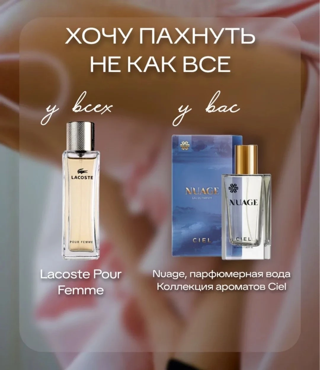 🌸 Nuage - Siberian Wellness