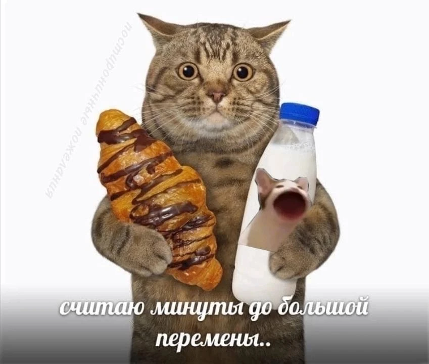 эх, школа уже совсем скоро