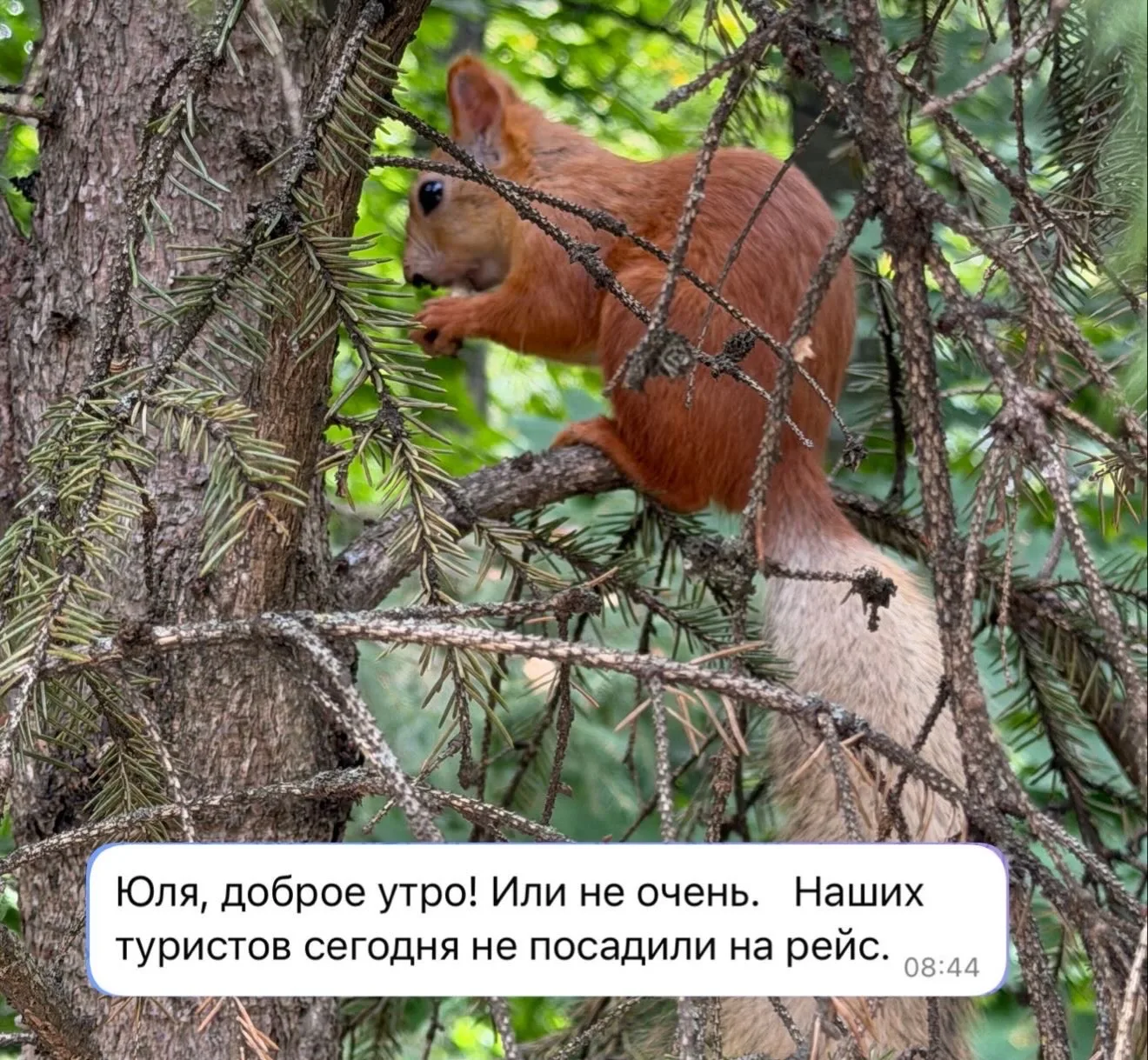 😳 Сегодня наших путешественников не посадили на рейс