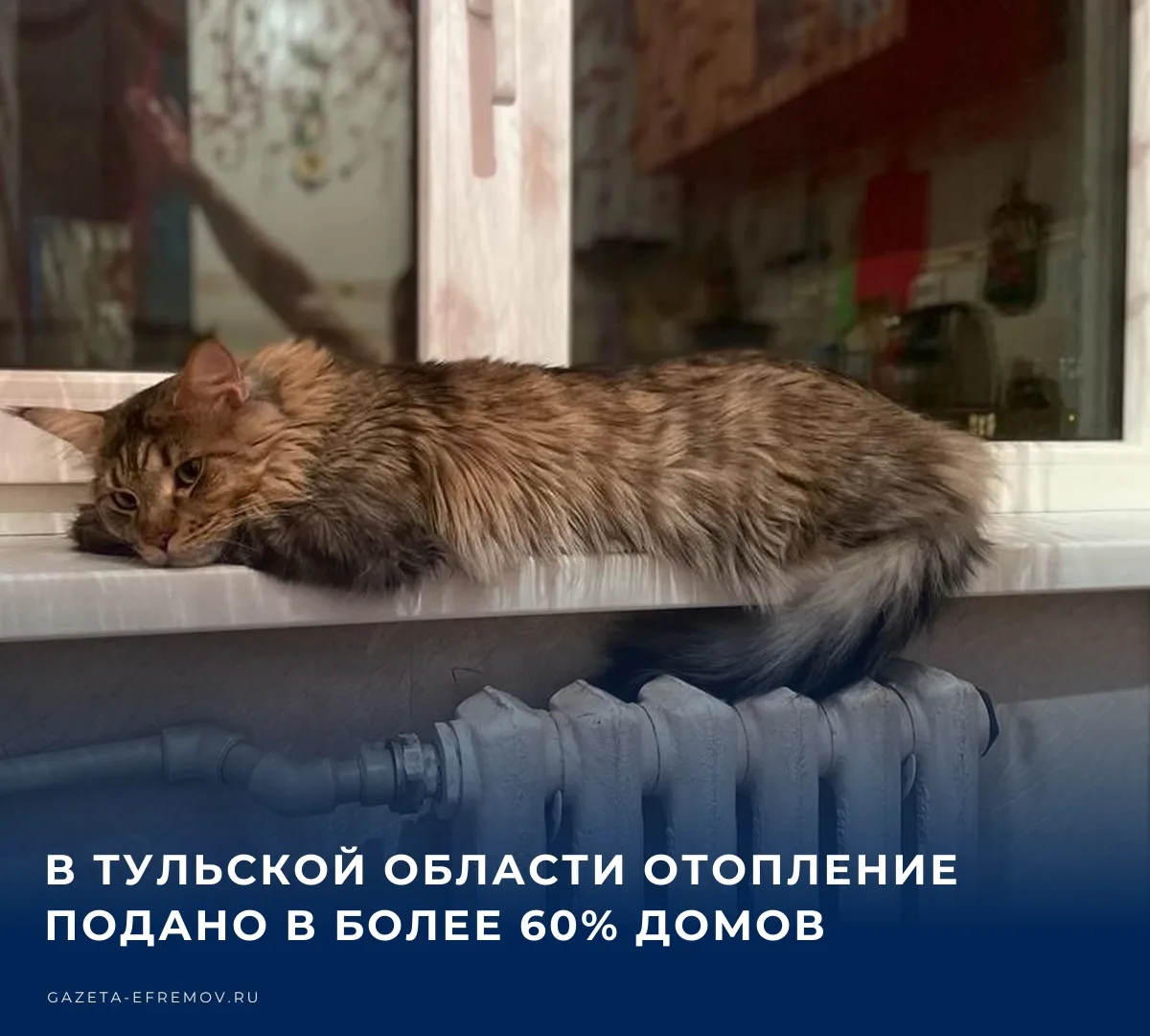 🏠 На оперативном совещании под председательством губернатора Дмитрия Миляева был рассм...