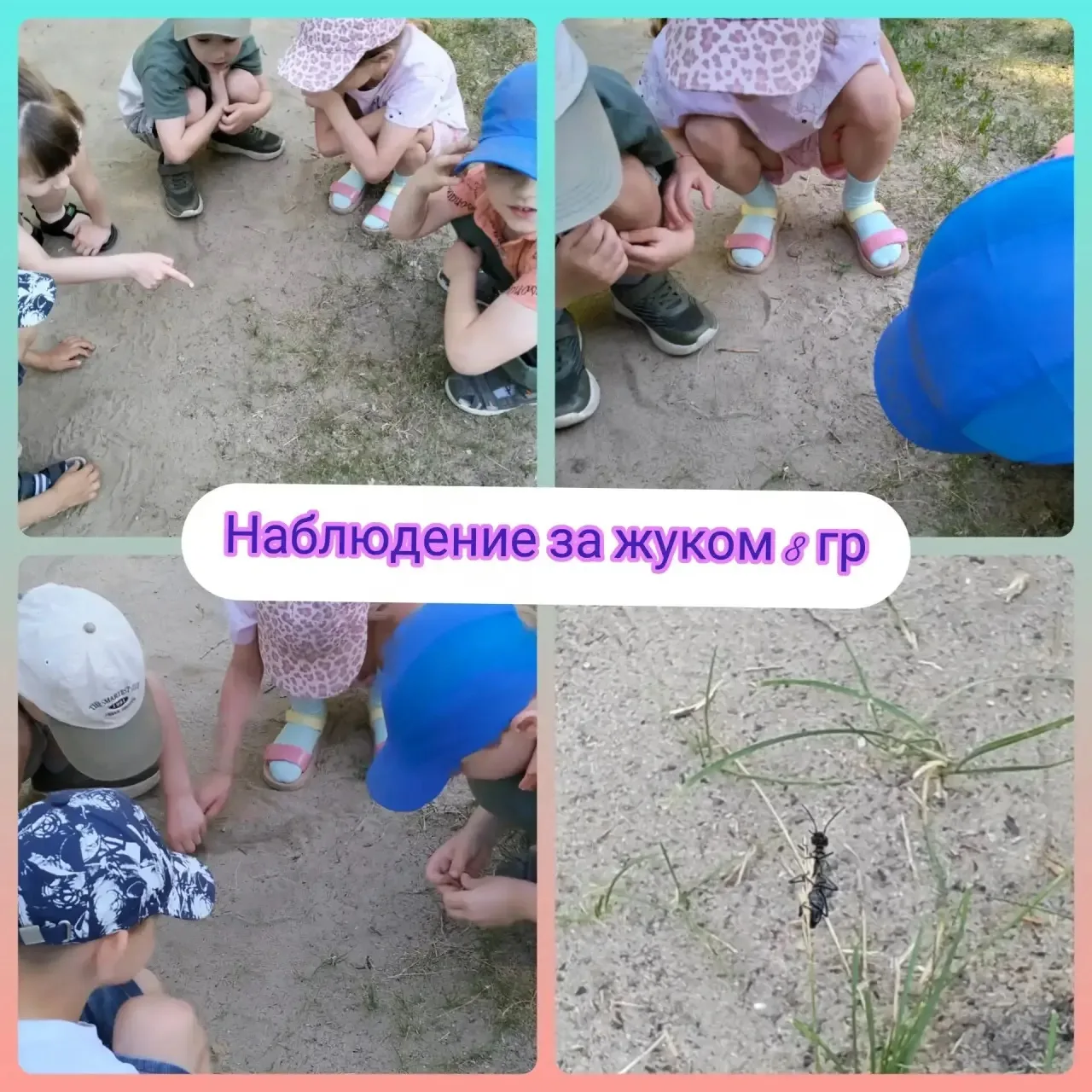 🐞 Летние открытия: мир насекомых глазами детей
Знаете это удивительное чувство, когда смотришь на м